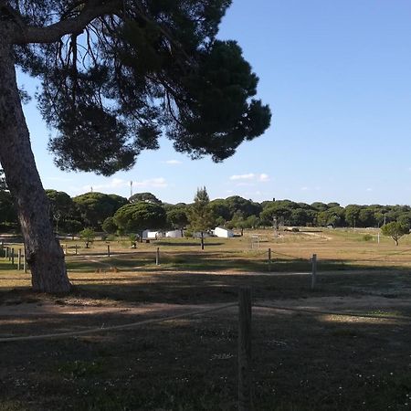 Beach Falesia Albufeira Dış mekan fotoğraf