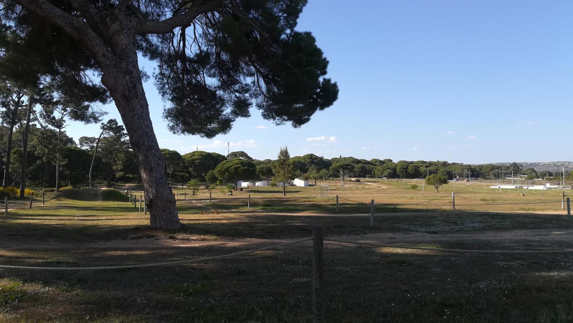 Beach Falesia Albufeira Dış mekan fotoğraf